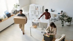 Déménagement - manutention cartons